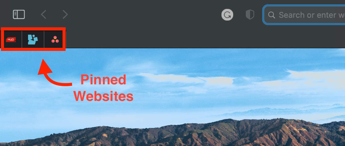 Pinned Websites on Safari