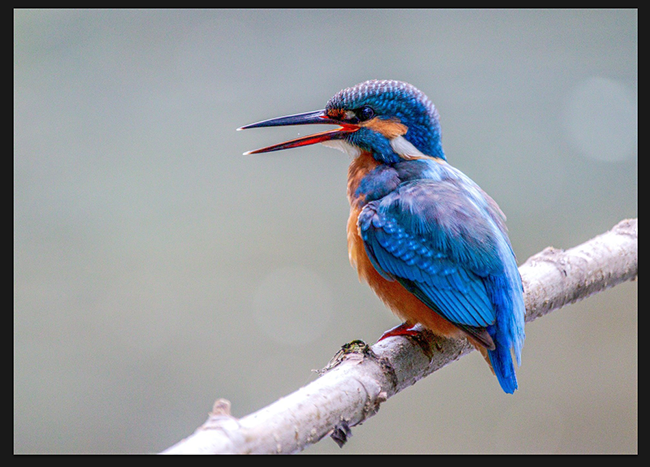 Перевёрнутое изображение в Photoshop