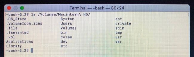 Terminal с командами копирования