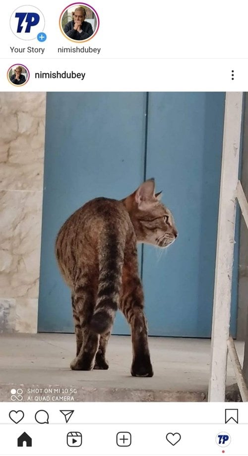 Профиль пользователя Instagram с круглым аватаром внизу экрана