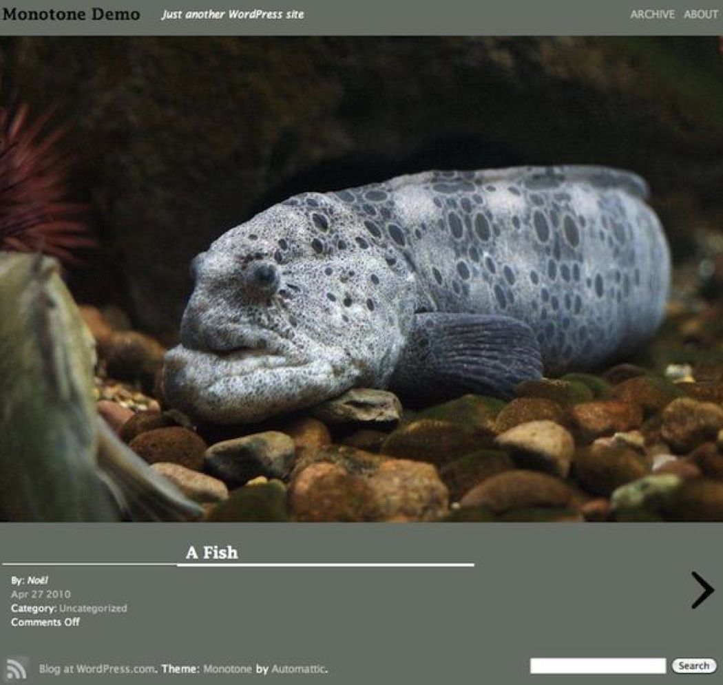 Пример темы на Wordpress.com