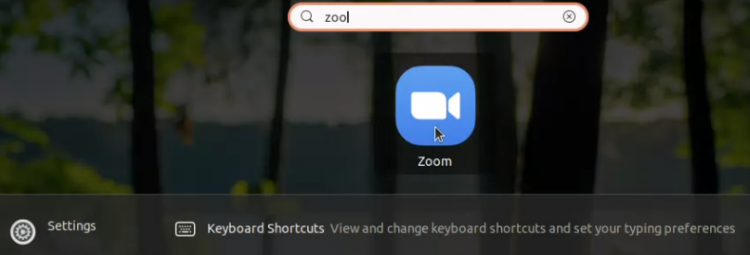 Запуск zoom-client из меню Activities