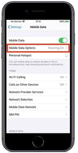 Экран iPhone: Настройки — Сотовая связь (Mobile Data)