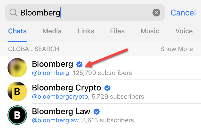Результаты поиска канала в Telegram на iPhone