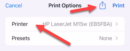 Выбор принтера или сохранение в PDF из iPhone. Превью печати видно внизу экрана.