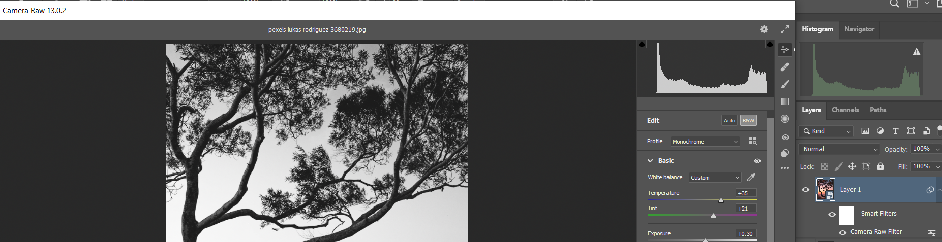 Двойной клик по Camera Raw Filter, чтобы открыть настройки