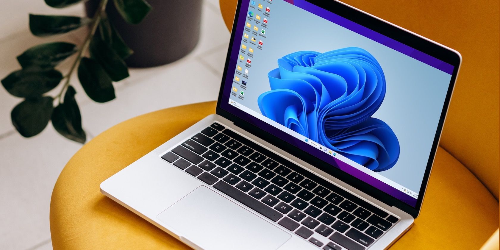 Удалённый доступ к Windows 10/11 с Mac — настройка