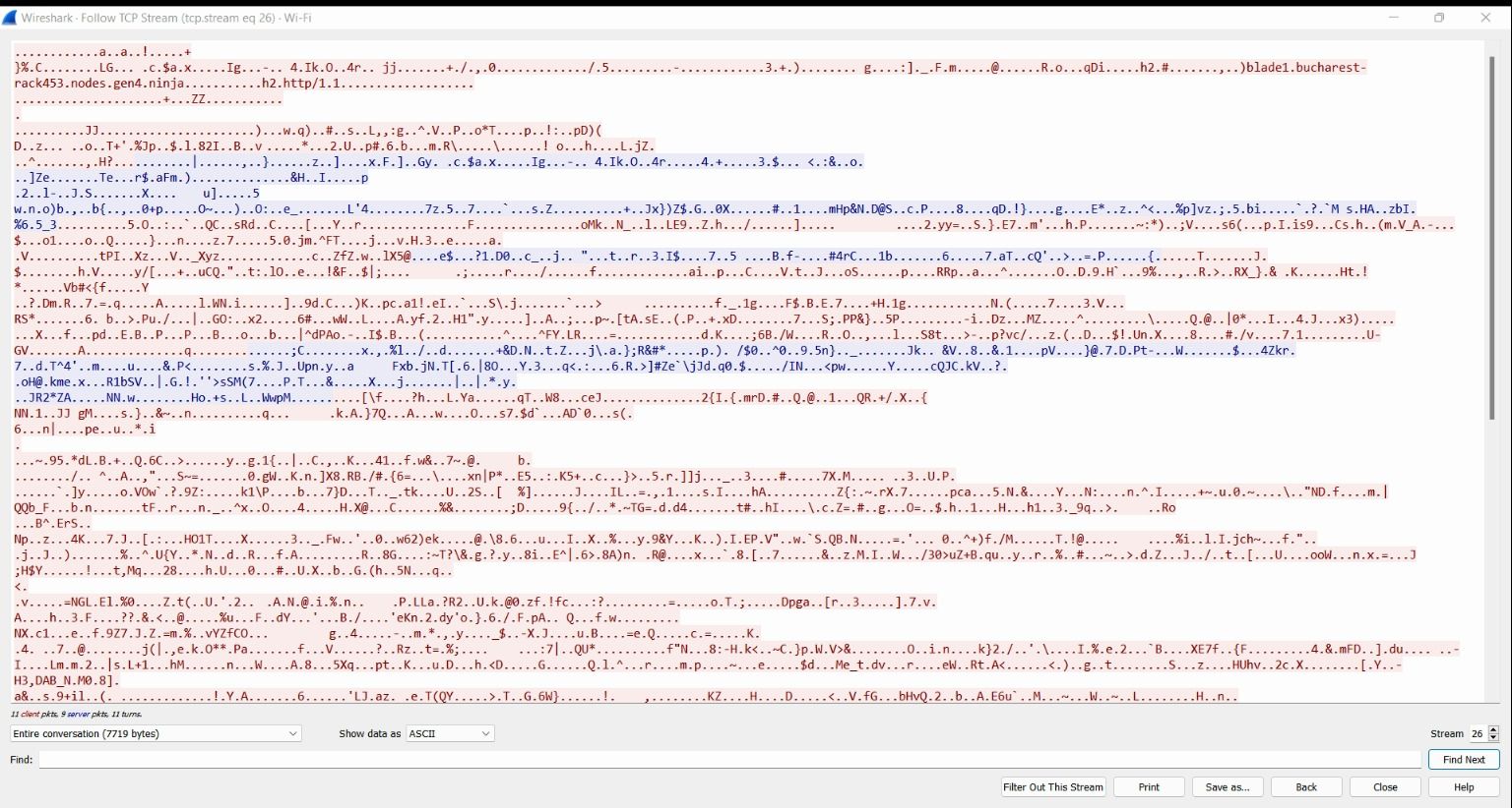 Wireshark показывает зашифрованные пакеты (нечитаемый поток)