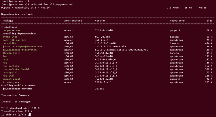 Установка puppetserver