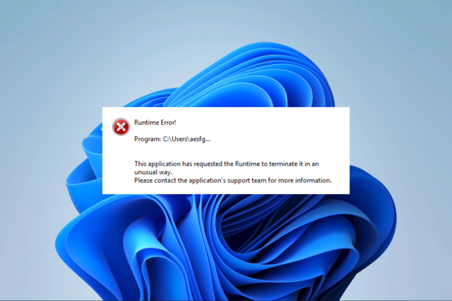 Изображение экрана с ошибкой Runtime Error 255