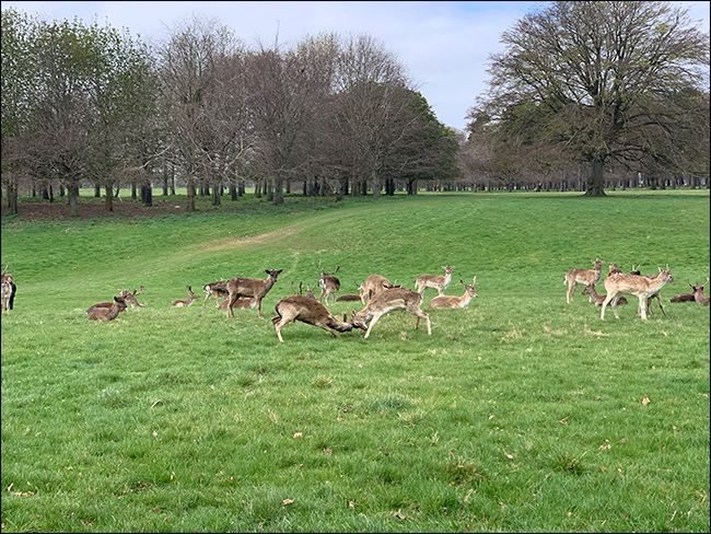 Исходное изображение в соотношении сторон 4:3