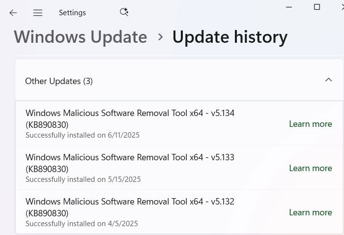 Раздел «Другие обновления» в Windows 11 за июль 2025