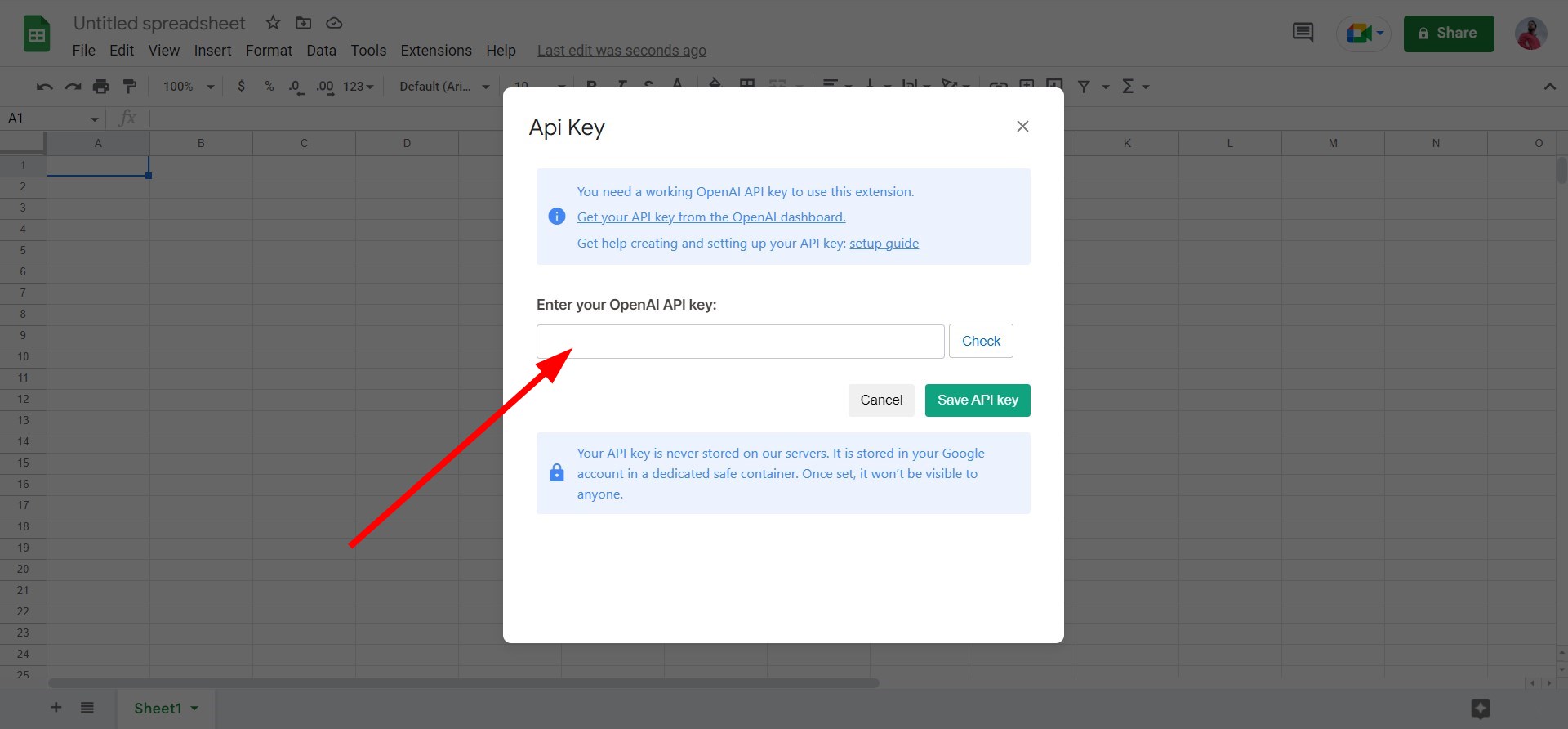 Поле ввода API ключа в настройках расширения