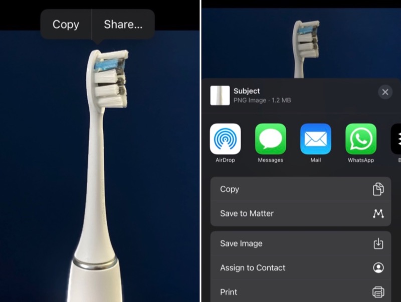 Копирование и отправка выделенного объекта через iOS Share Sheet