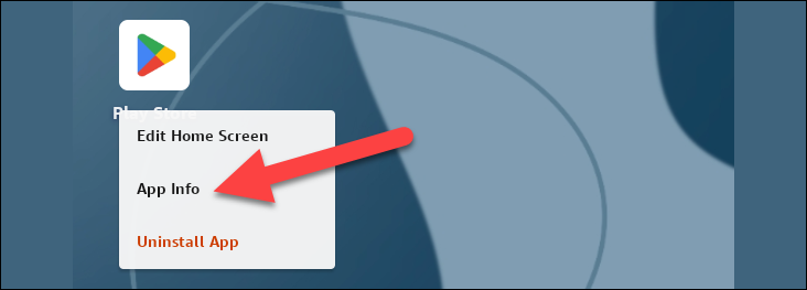 Зажмите иконку Play Store и откройте информацию о приложении.