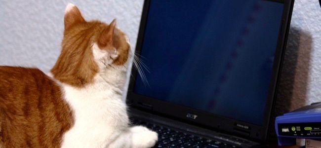 Безопасный доступ гостя к устройству