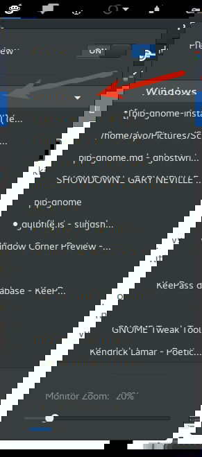 Выбор окна для превью в меню расширения Window Corner Preview
