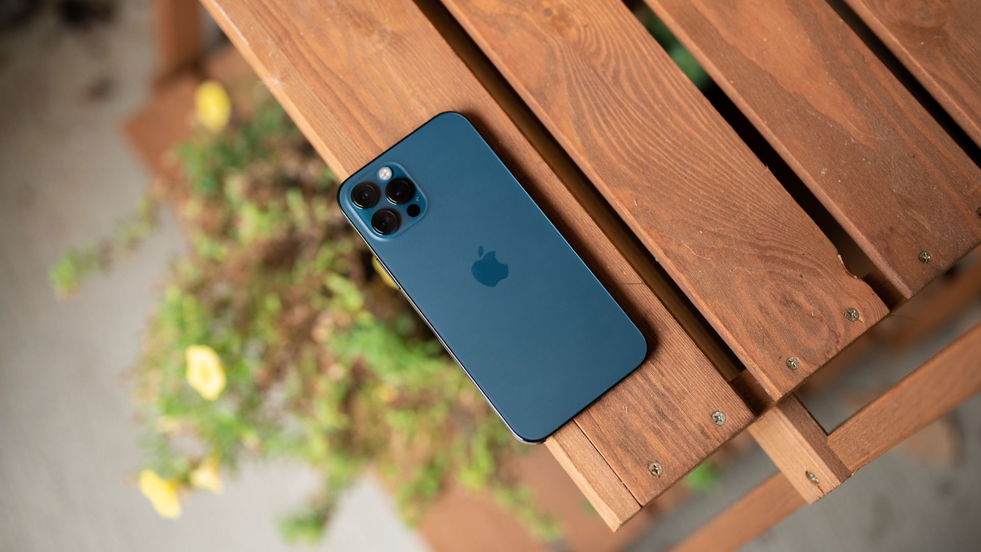 Shot on iPhone Macro — конкурс макро‑фото 2022