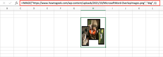 Функция IMAGE с alt текстом и опцией sizing 1