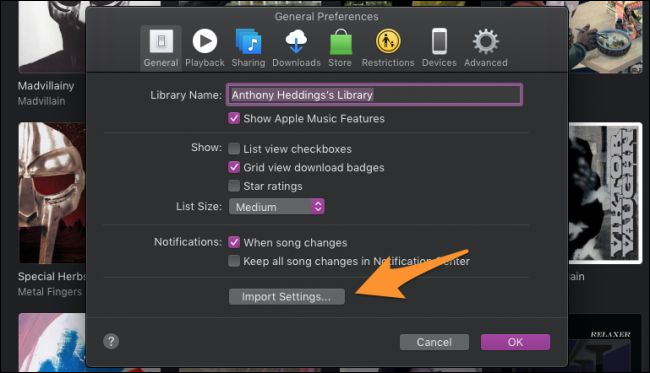 Окно настроек iTunes, раздел 