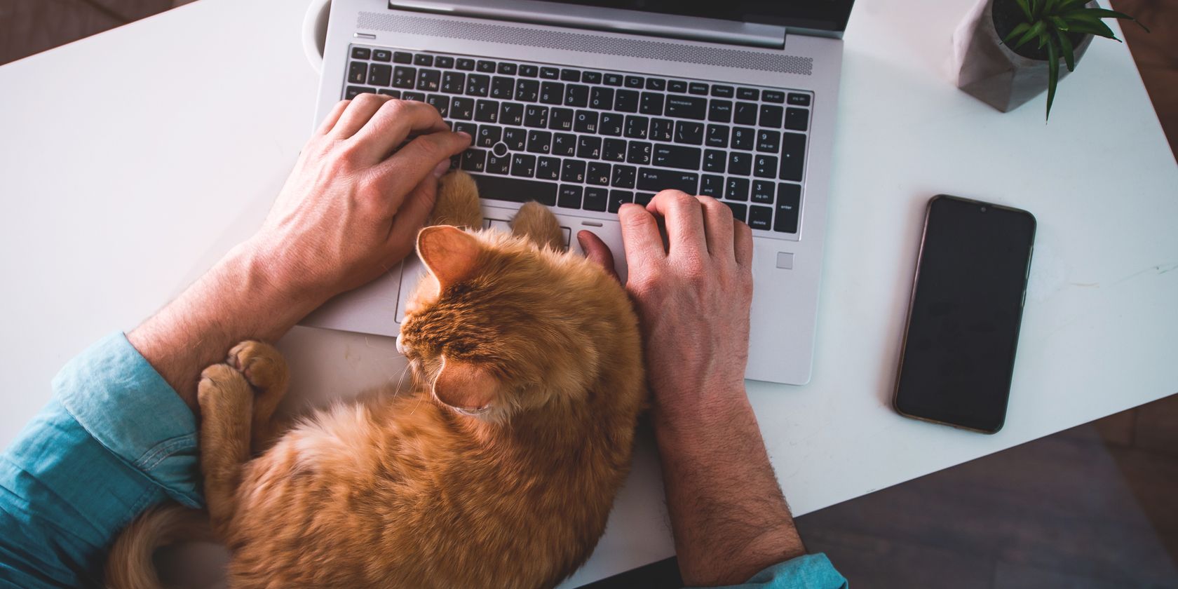 Надёжный пароль с именем питомца