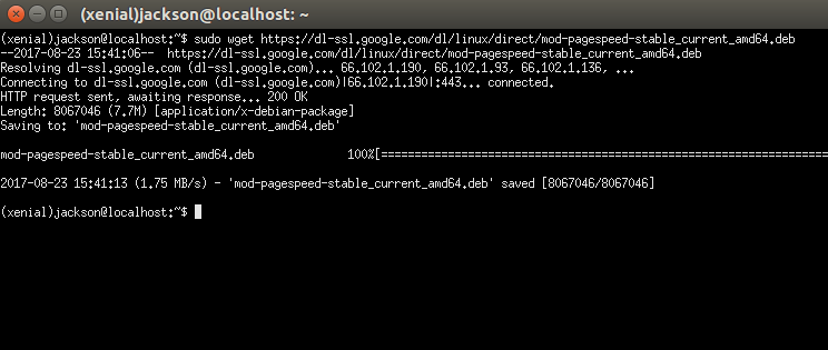 Скачивание пакета PageSpeed