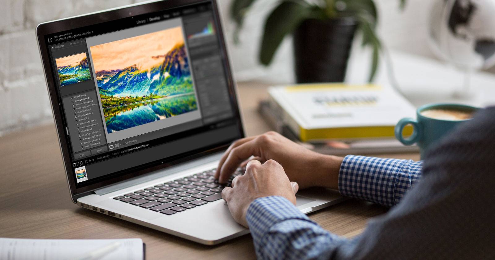 Фотография в Adobe Lightroom с примером рабочей панели