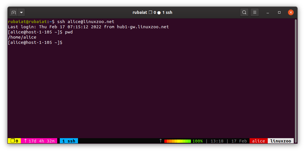 Терминал с успешным входом на удалённый сервер через SSH