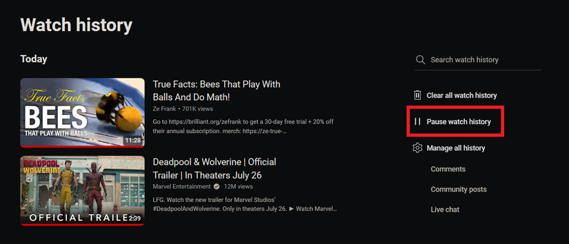 Приостановка истории просмотров на сайте YouTube