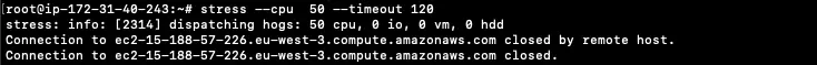 Запуск утилиты stress на EC2-инстансе