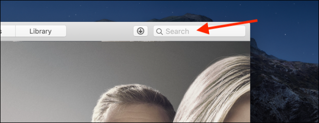 Поле поиска в верхней панели приложения TV на Mac
