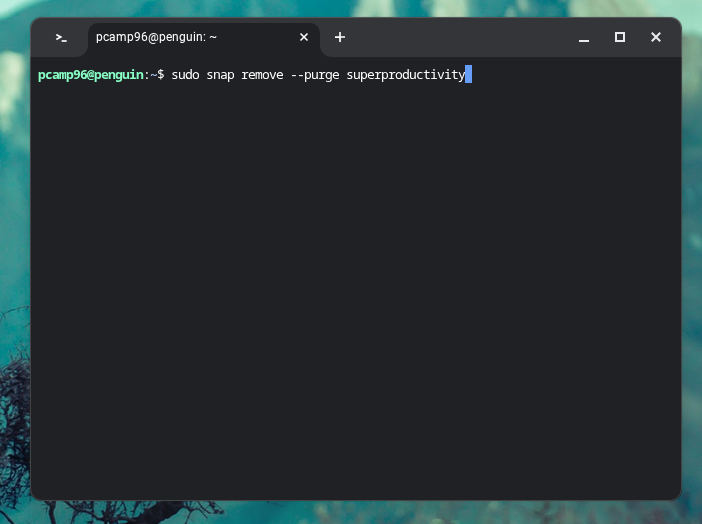 Удаление приложения Snap в Linux на Chromebook.