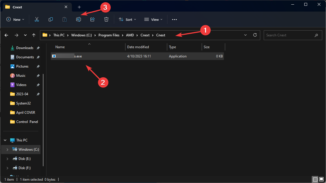 Переименование файла AMDRSServ.exe в Проводнике