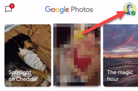 Затем нажмите на значок профиля в правом верхнем углу экрана приложения Google Фото