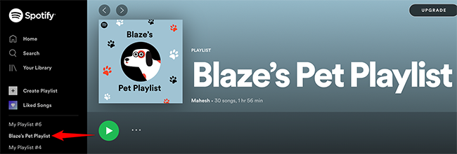 Плейлист питомца в веб‑плеере Spotify