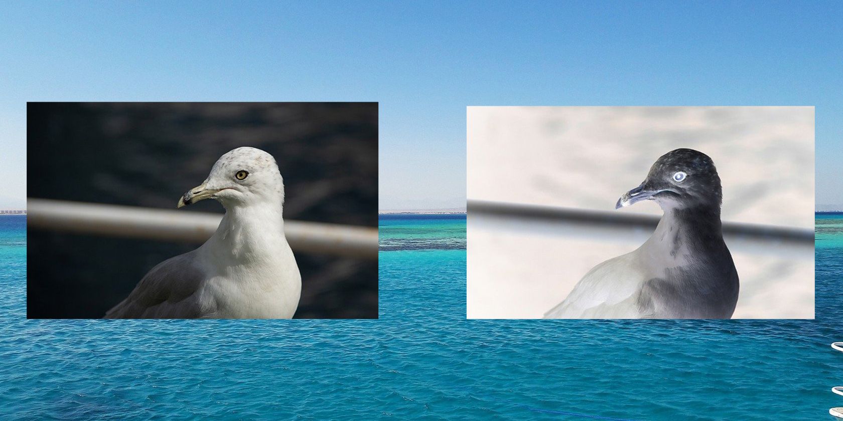 Инвертировать цвета в Photoshop — быстро и массово