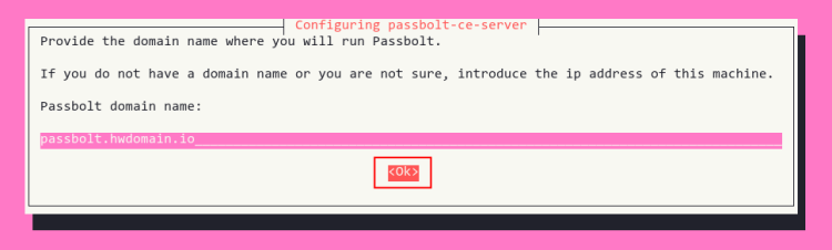 Ввод доменного имени для Passbolt
