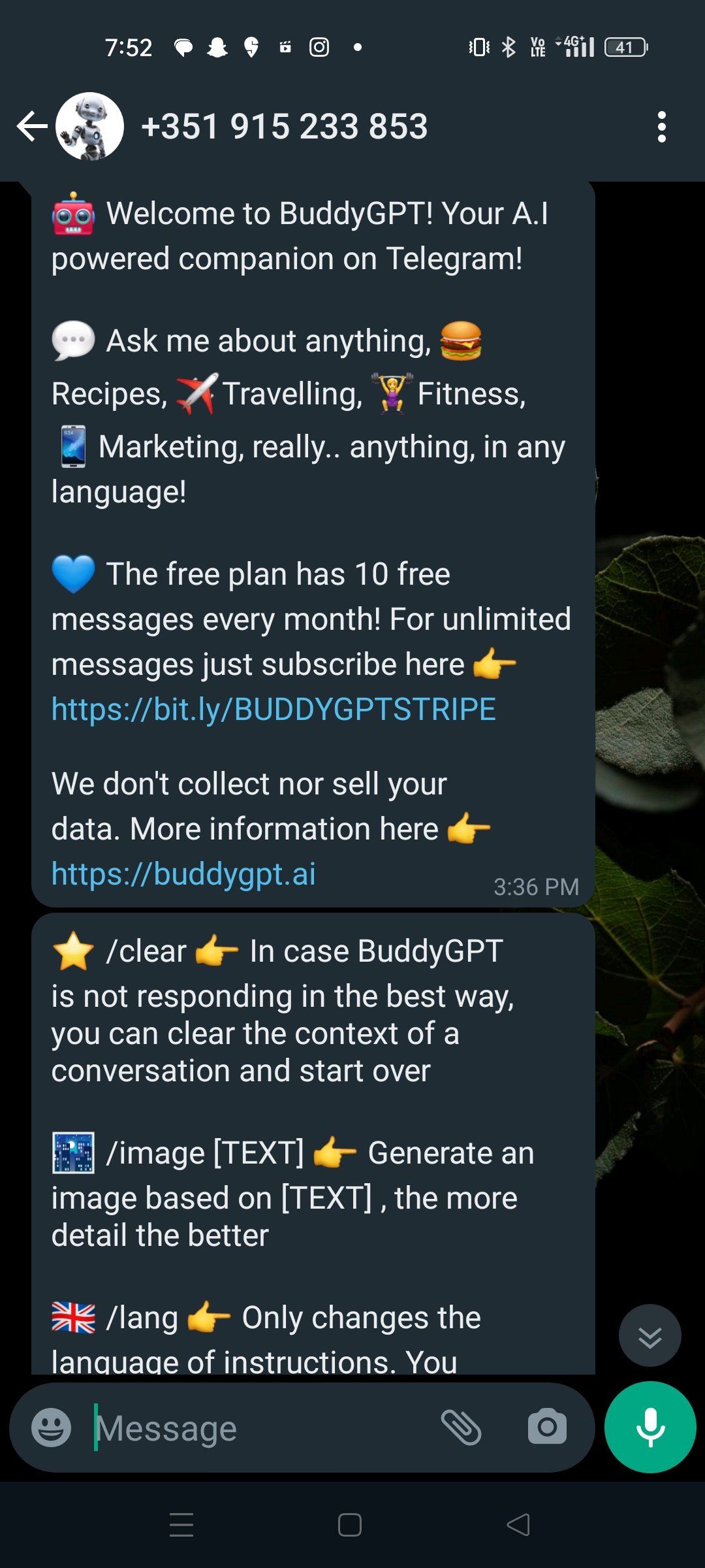 Уведомления от BuddyGPT с описанием команд и ограничений.