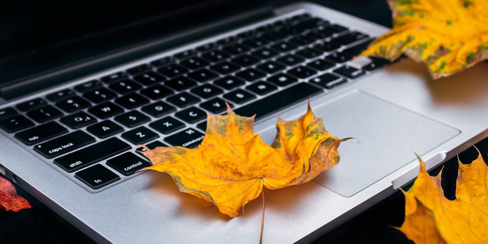 Главные аппаратные проблемы MacBook и их решения