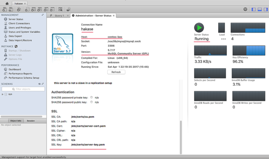 MySQL Workbench подключён по SSL