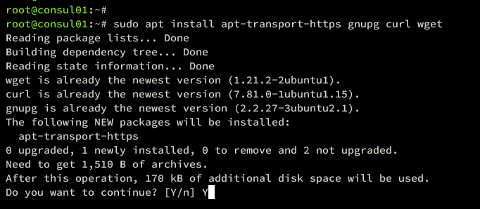 Установка зависимостей apt-transport-https, gnupg, curl, wget