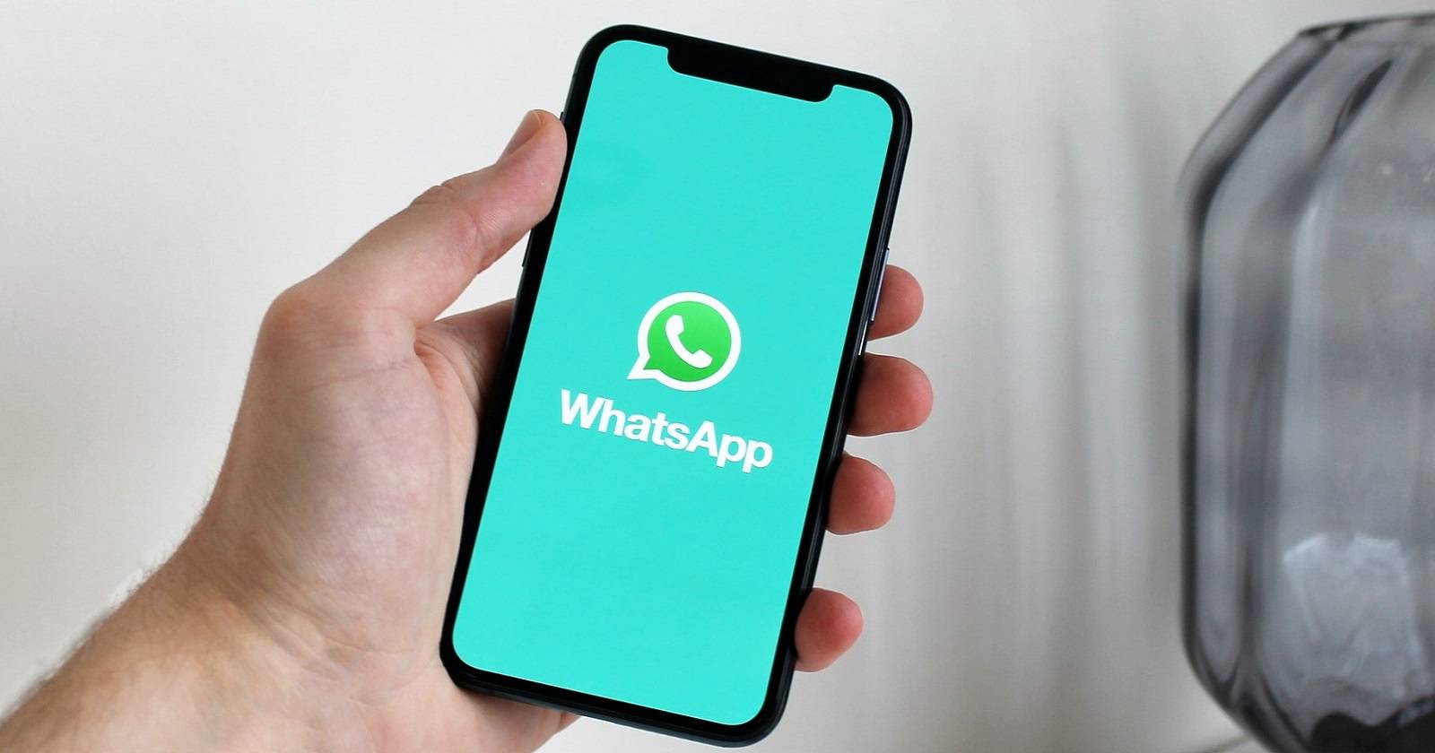 Пример одиночного просмотра сообщения в WhatsApp