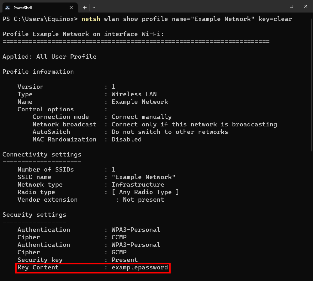 Вывод команды netsh с показанным паролем сети