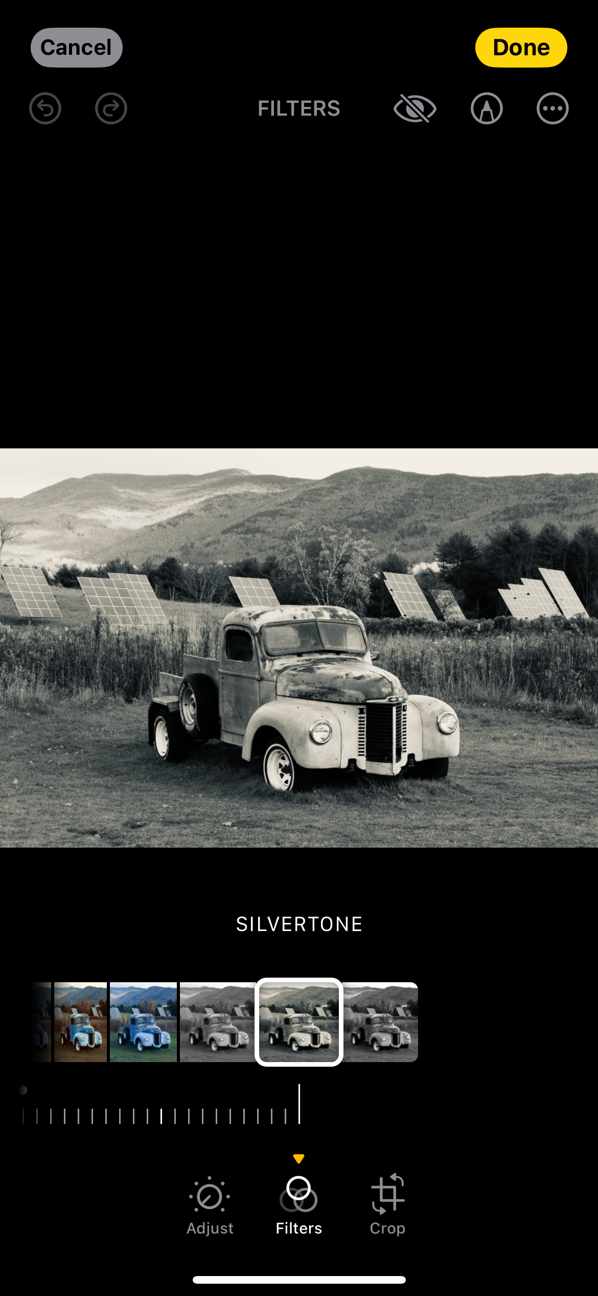 Фильтр Silvertone превращает изображение в контрастную монохромную версию