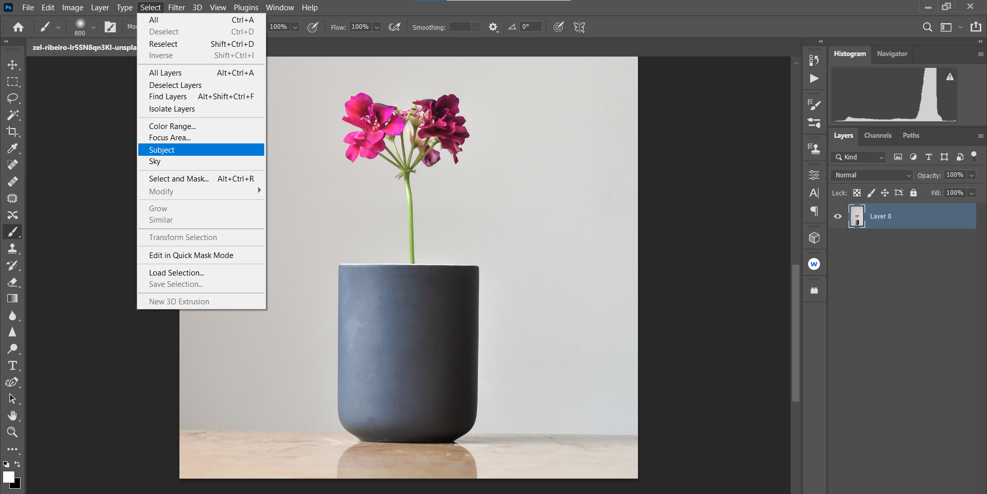 Выделите объект с помощью Select Subject