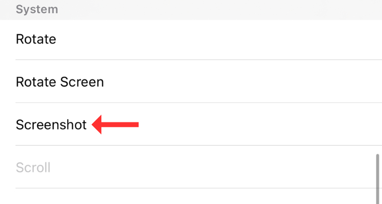 В списке опций AssistiveTouch присвоена команда Screenshot.