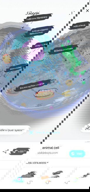 3D‑модель клетки, полезная для обучения биологии