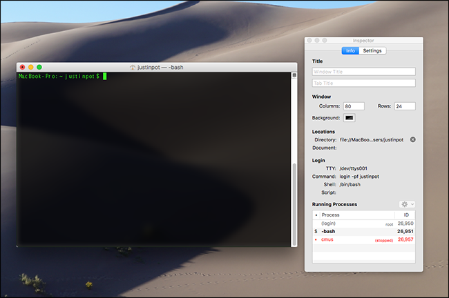 Как безопасно закрыть Terminal с запущенными процессами