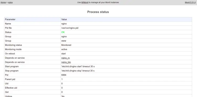 Информация по сервису Nginx внутри Monit