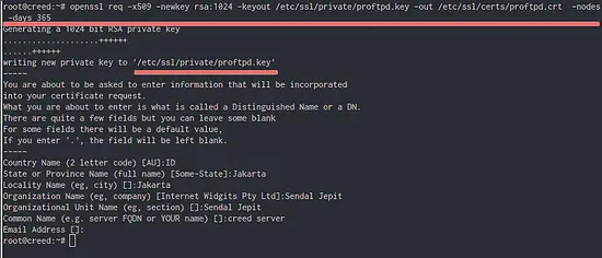 Процесс генерации self-signed сертификата OpenSSL